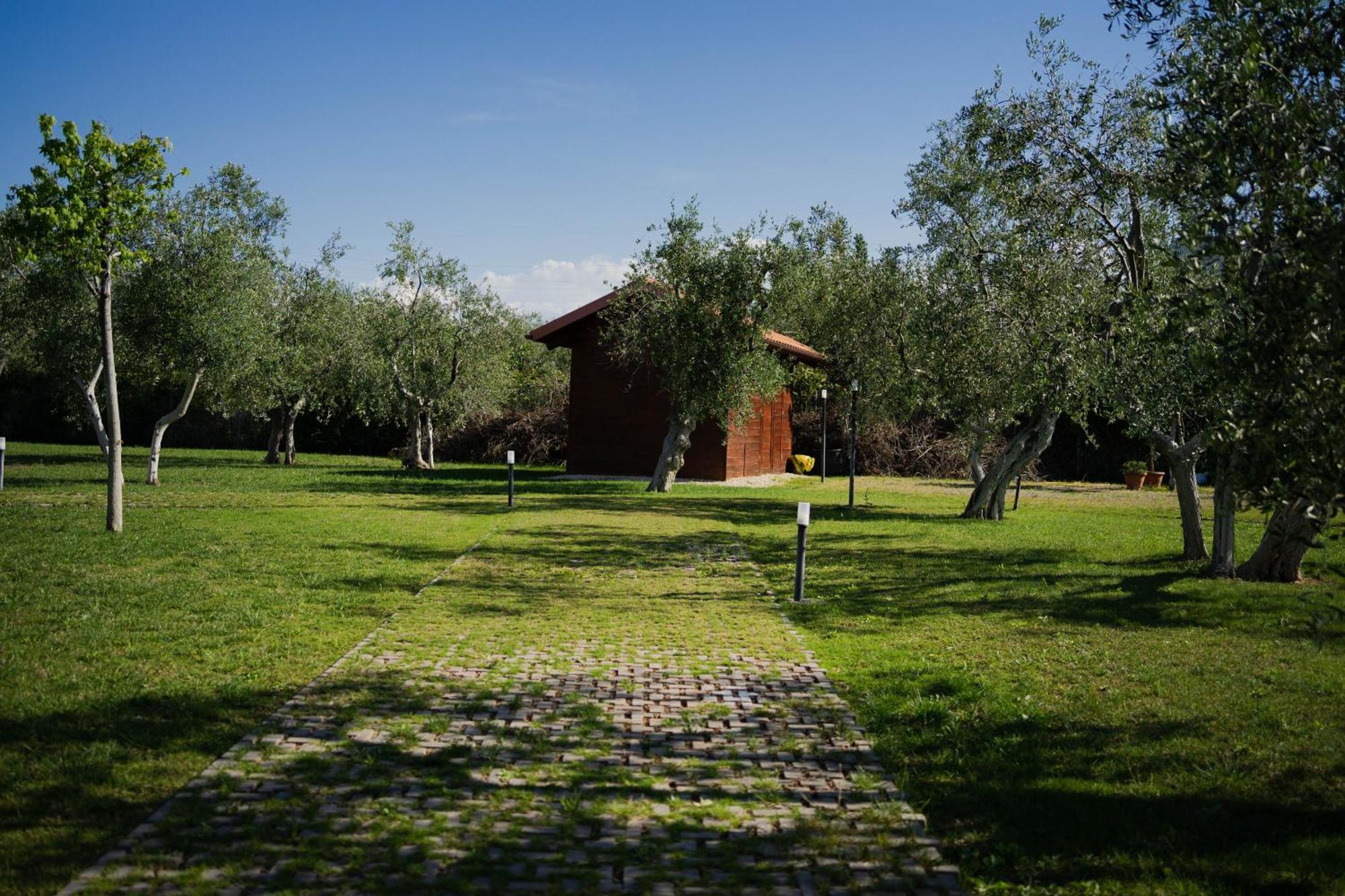 Villa Erada Bari Exteriör bild